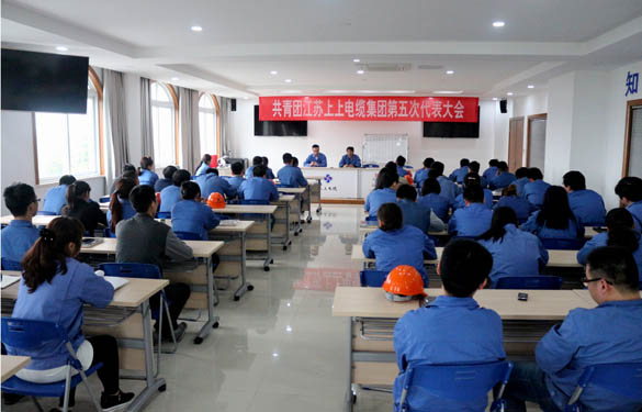 2016年4月20日，共青团JDB电子第五次代表大会召开