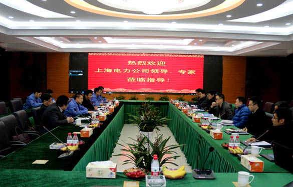上海电力公司、上缆所辅导、专家一行来JDB电子电缆互换调查