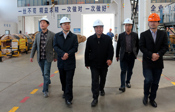 2015年3月26日，江苏省射阳县辅导一行来JDB电子电缆视察