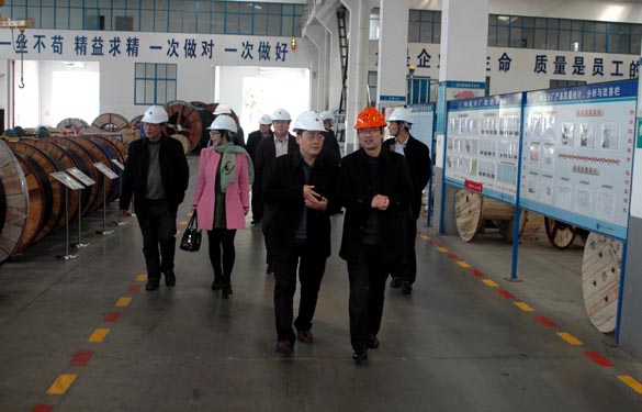 2015年3月13日，金坛市经信局辅导一行来JDB电子电缆调查